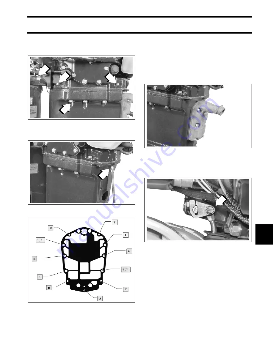 BRP Evinrude E-TEC Manual Download Page 227