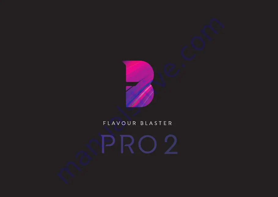 BUBBLE HEADS FLAVOUR BLASTER PRO 2 Скачать руководство пользователя страница 1