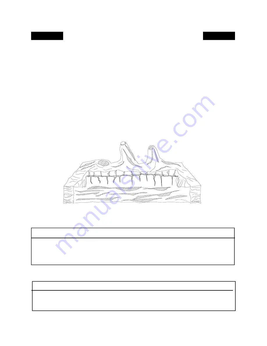 BuckMaster FP-BR-10-ZC Manual Download Page 21