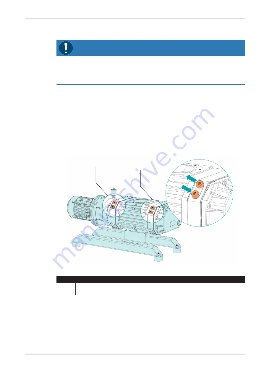 BUSCH PUMA WP 0250 D4 Instruction Manual Download Page 11