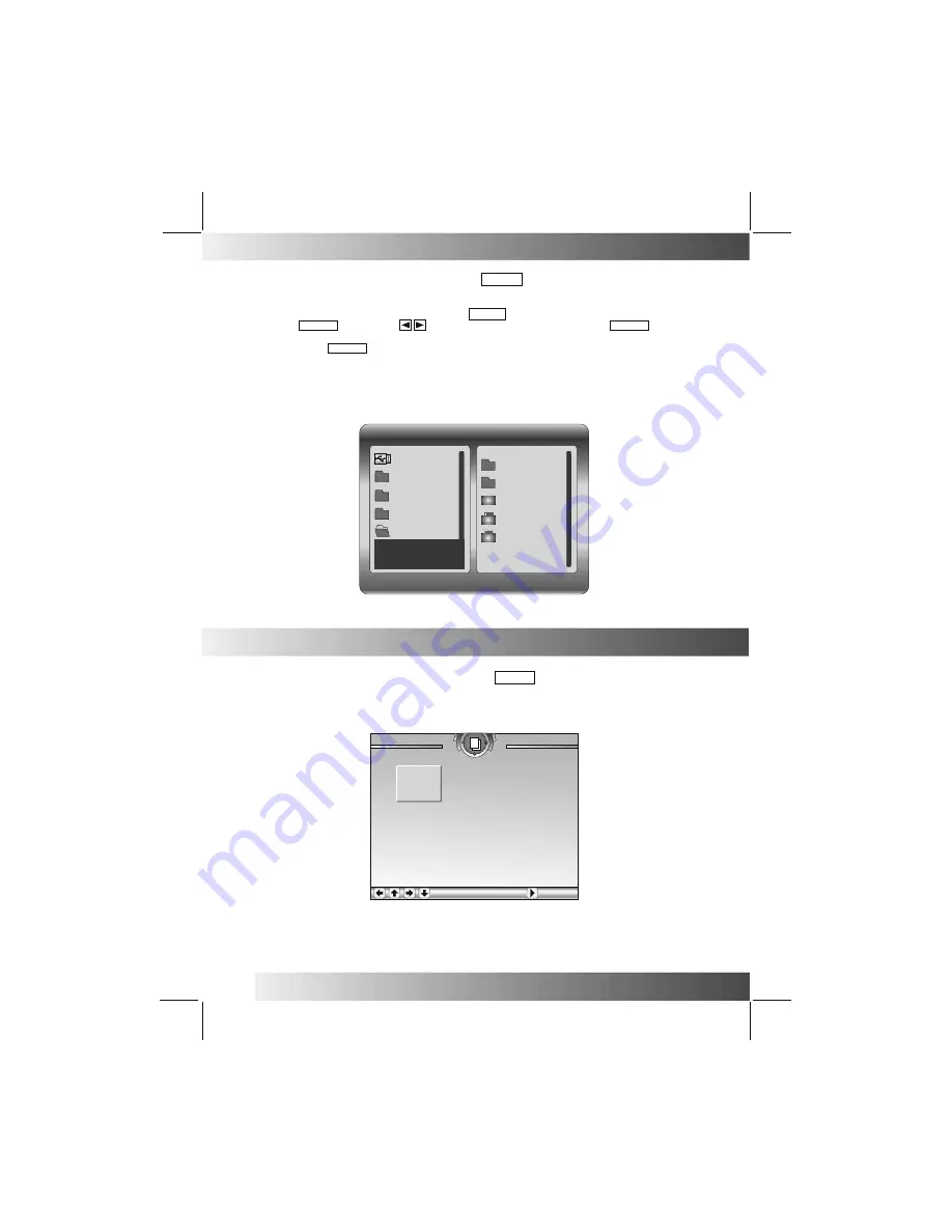 Bush DPF1001 Operating Manual Download Page 13