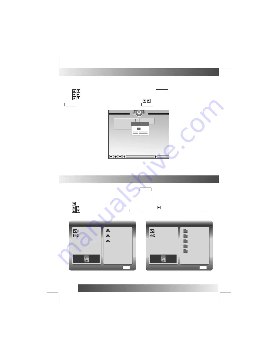 Bush DPF1001 Operating Manual Download Page 17