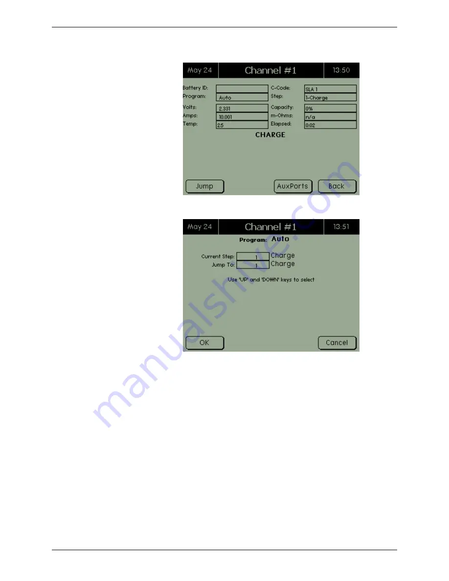 Cadex C8000 User Manual Download Page 54