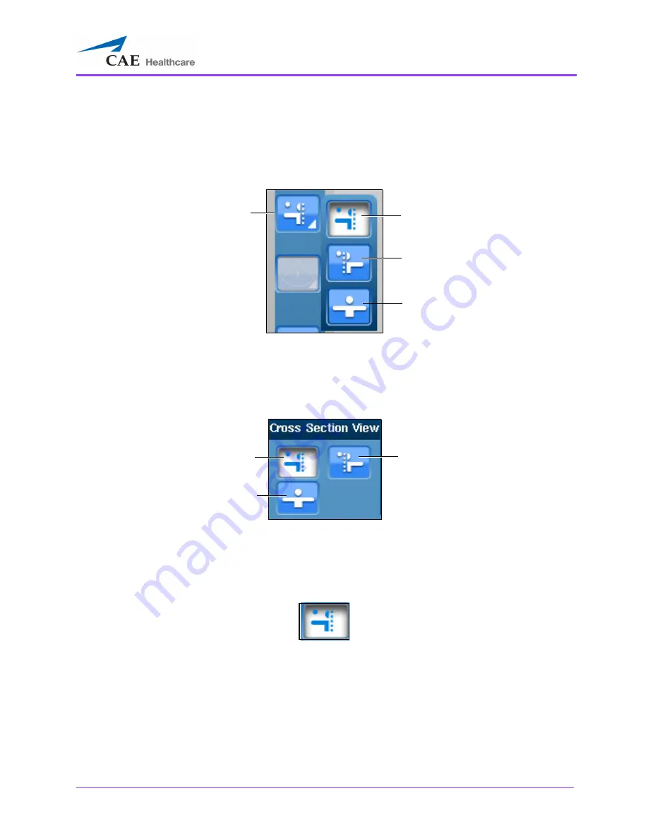 CAE Healthcare Vimedix Cardiac User Manual Download Page 107