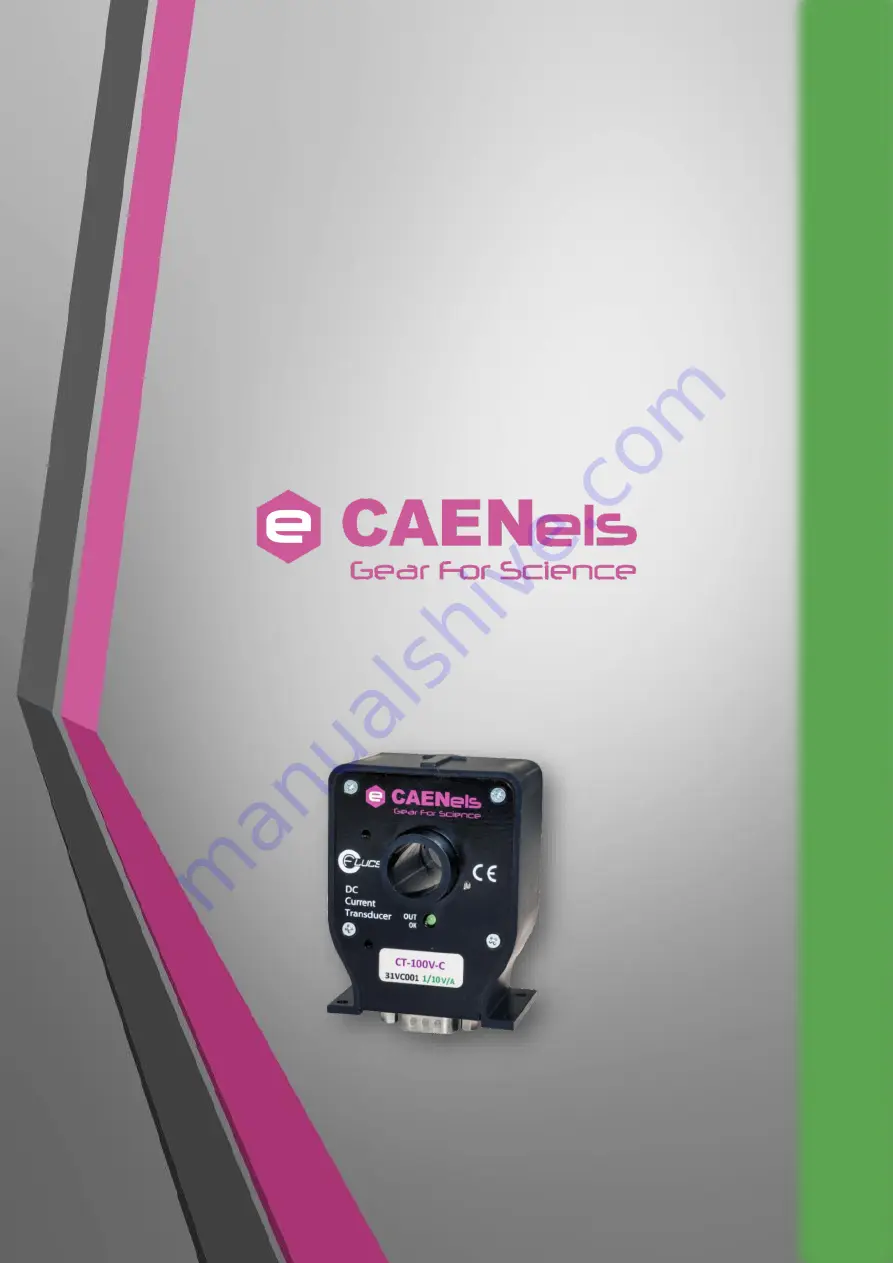 CAENels Flucs CT -100 User Manual Download Page 1