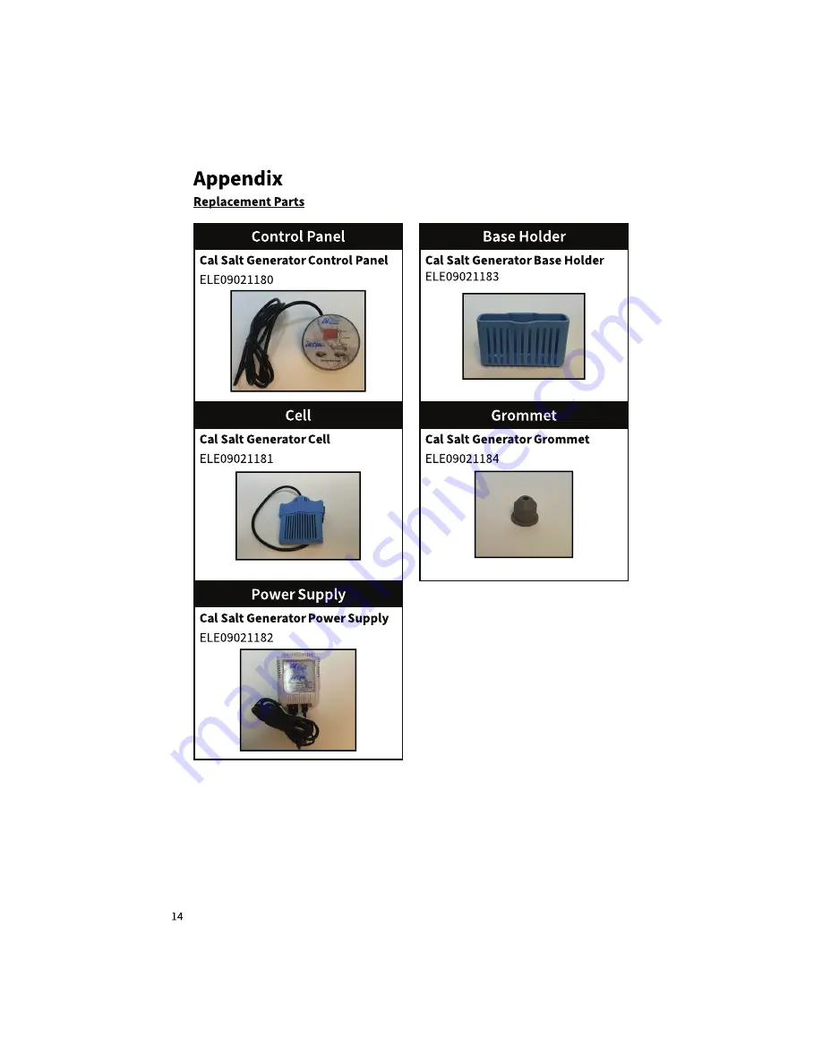 Cal Spas CalSalt Filtration Скачать руководство пользователя страница 14