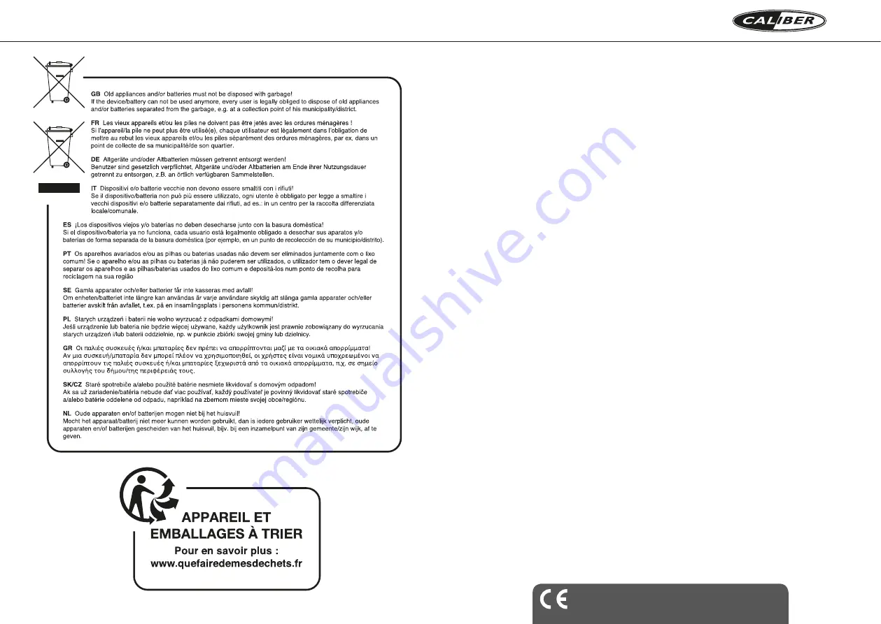 Caliber HPG 528BT Manual Download Page 14