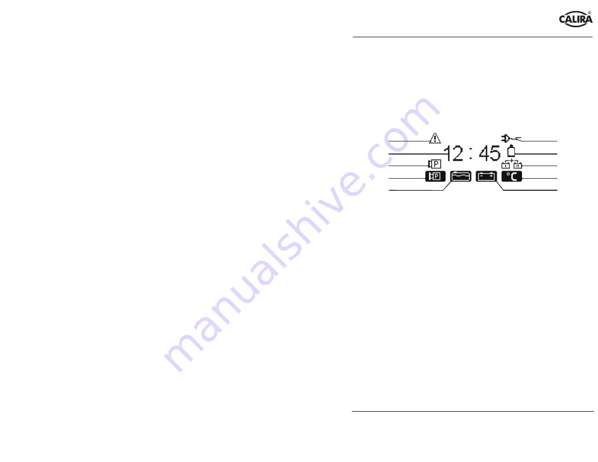 Calira Check-Panel 210 Operating Instructions Manual Download Page 5