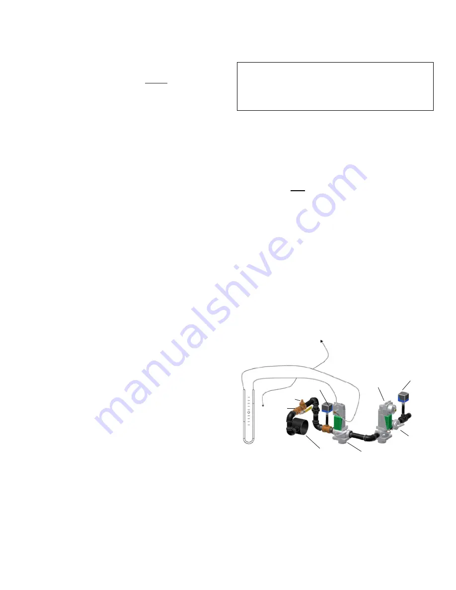 Camus Hydronics Dynaforce Series Installation And Service Manual Download Page 19