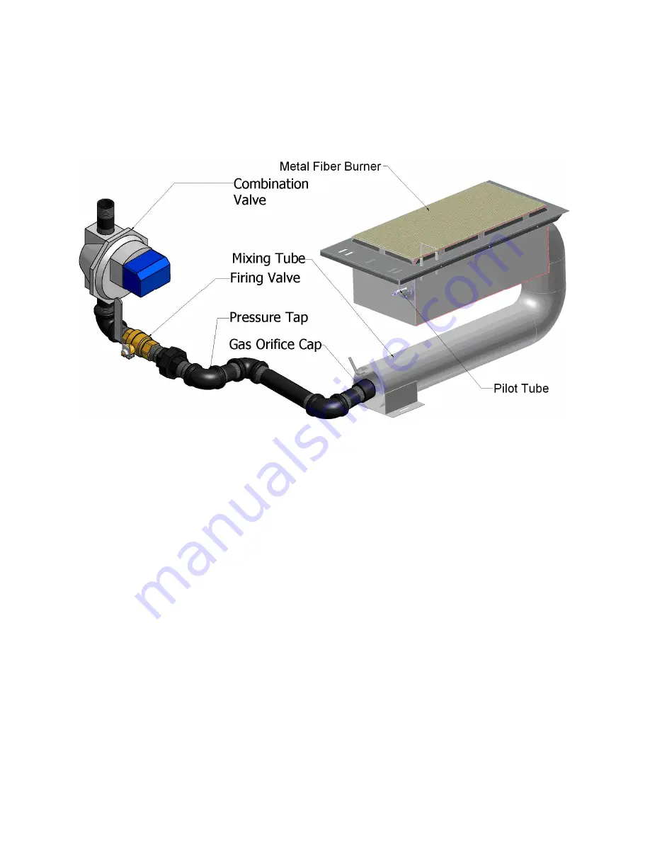 Camus Hydronics MicoFlame Grande MFH2000 Скачать руководство пользователя страница 29