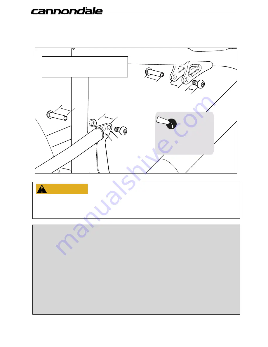 Cannondale PROPHET Owner'S Manual Supplement Download Page 20