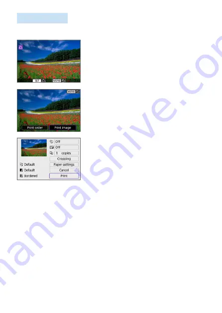 Canon EOS 250D Advanced User'S Manual Download Page 383