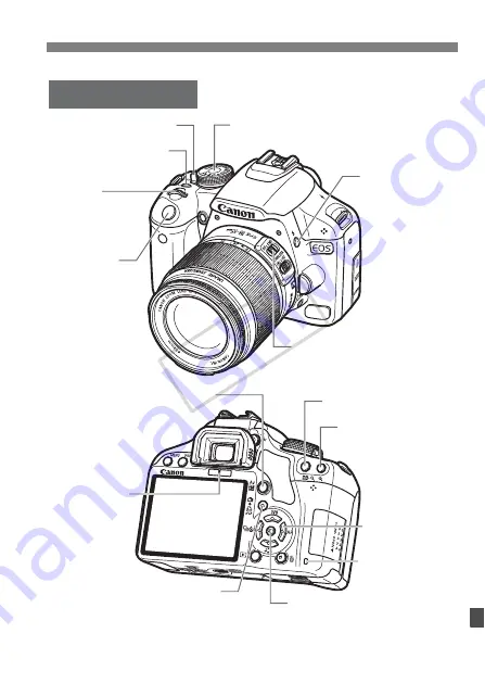 Canon EOS Rebel T1i Скачать руководство пользователя страница 239