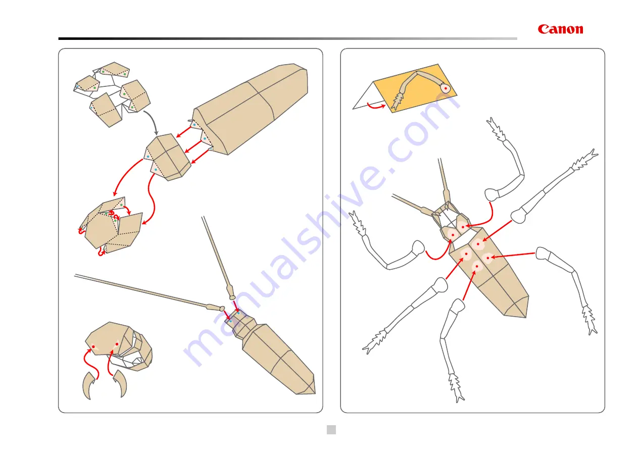 Canon PaperCraft White striped longhorn beeetle Скачать руководство пользователя страница 2