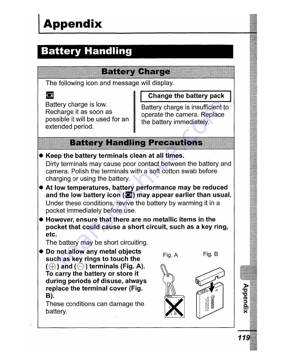 Canon PoverShot SD430 User Manual Download Page 141