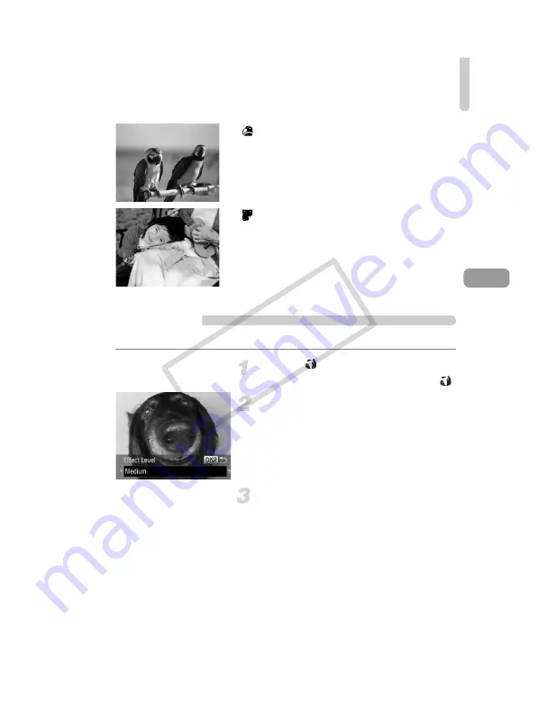 Canon PowerShot A1200 User Manual Download Page 69