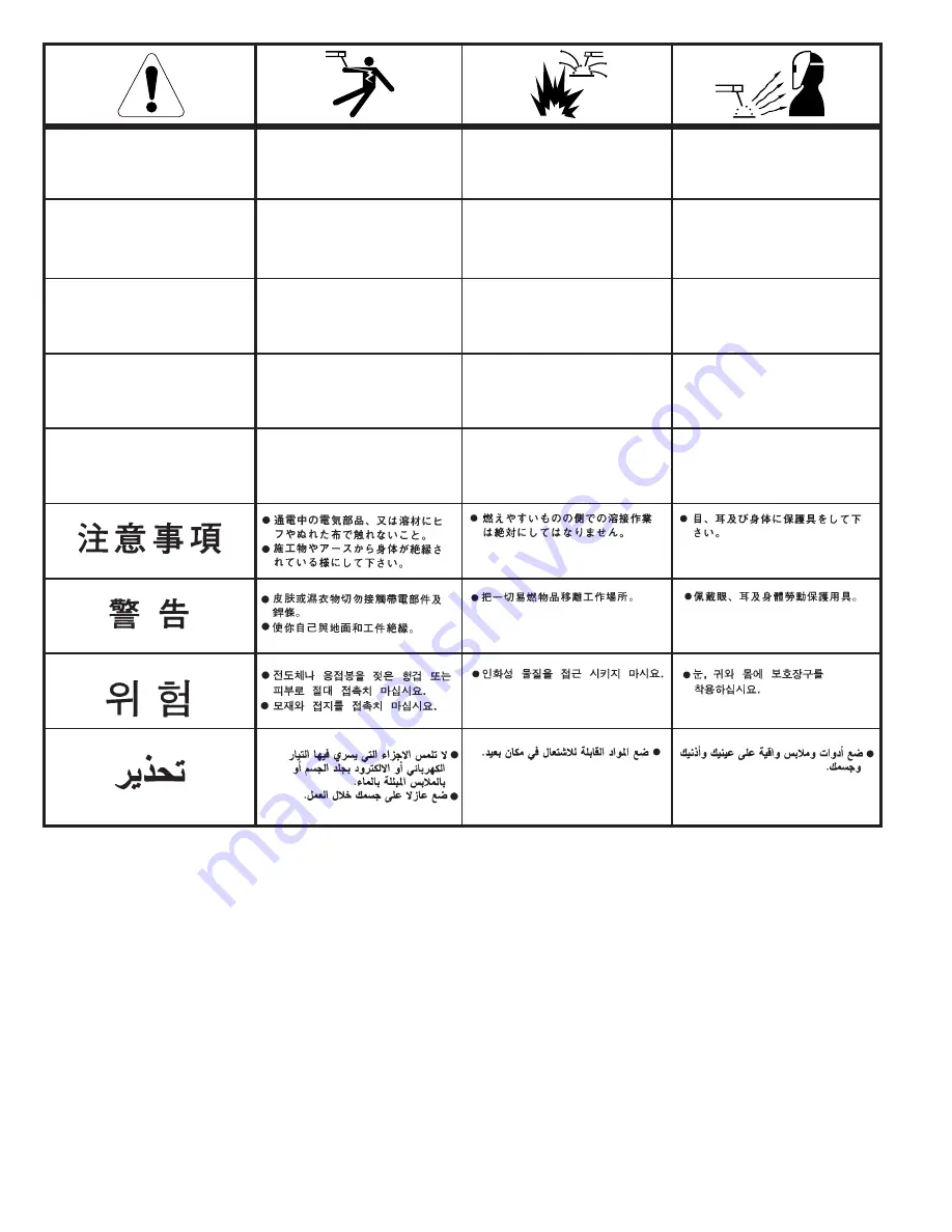 CARBONE Digi-Tig250ACDC Operator'S Manual Download Page 42