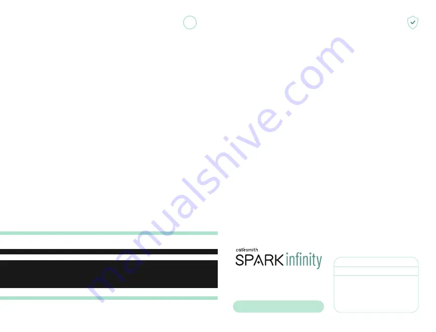 caresmith Spark Infinity Скачать руководство пользователя страница 6