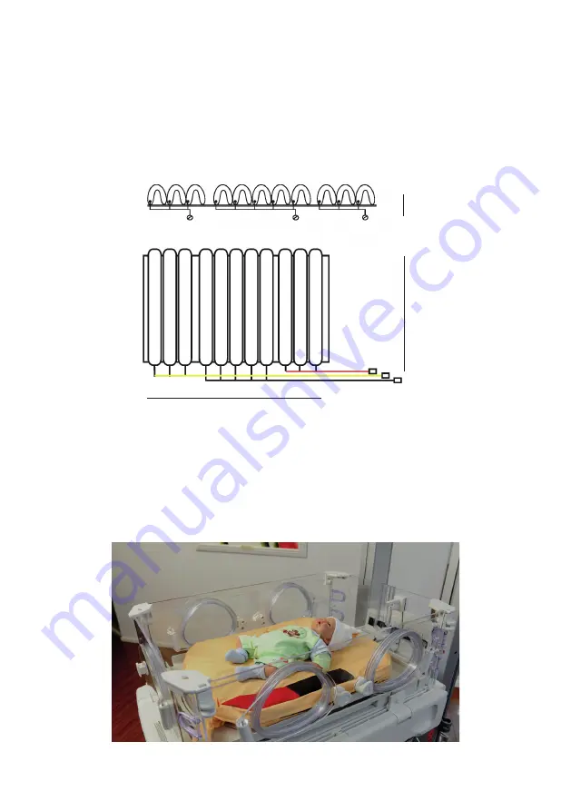 CARITAL NeoICU User Manual Download Page 11