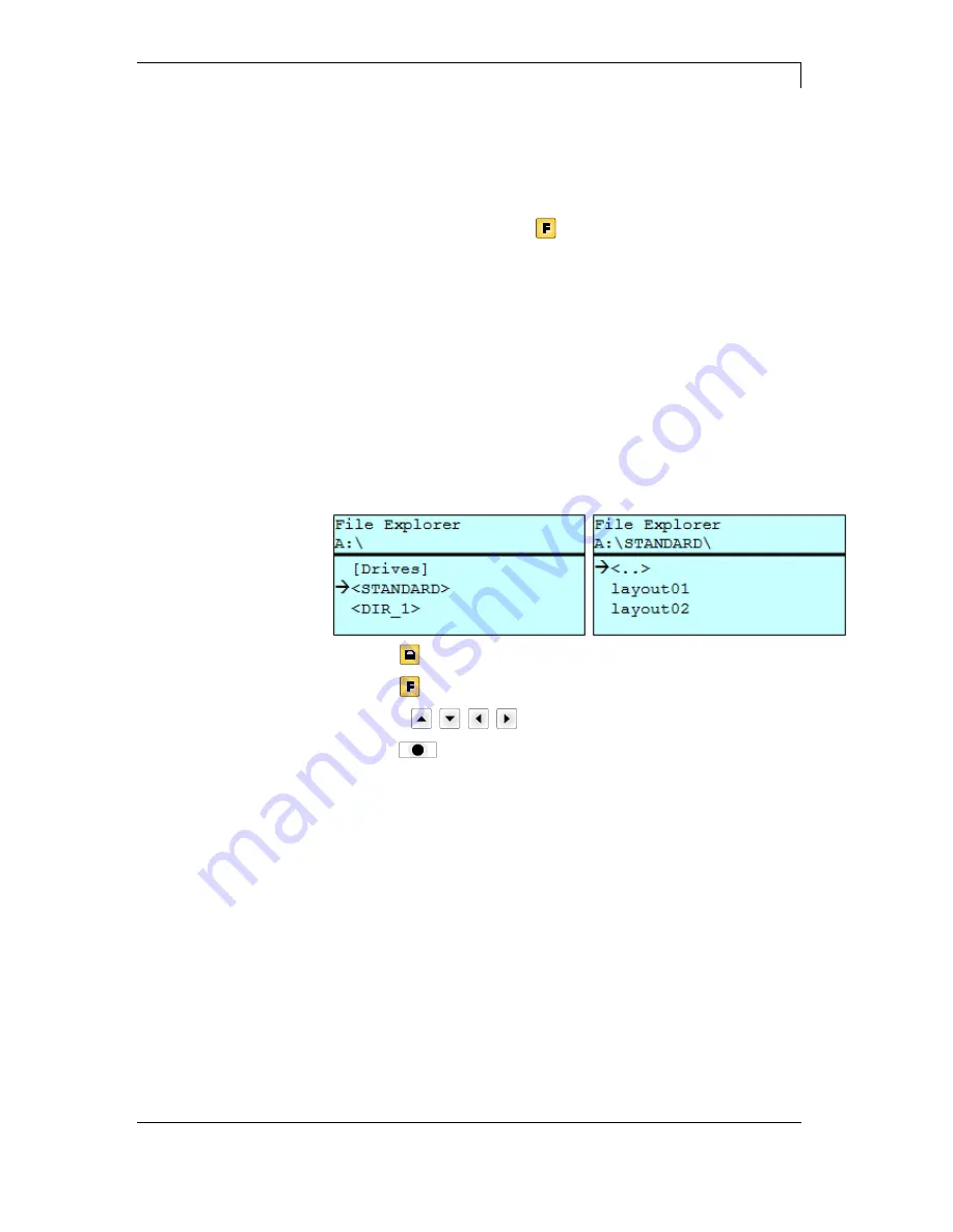 Carl Valentin Dynacode IP Series Operating Manual Download Page 79