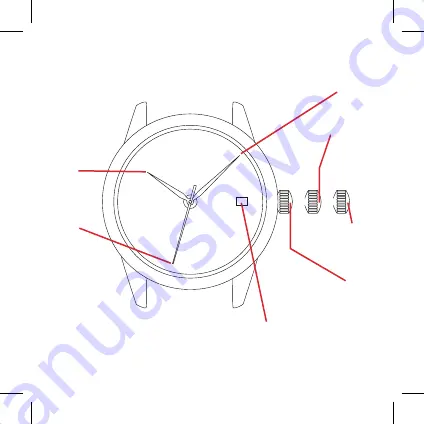 Carl von Zeyten CVZ 0016 Manual Download Page 8