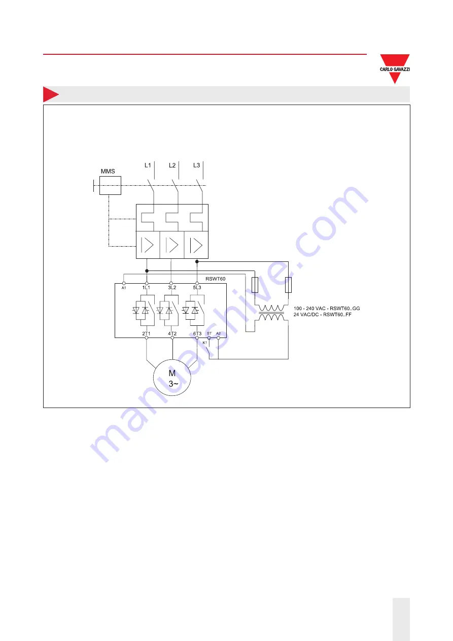 CARLO GAVAZZI RSWT Series Manual Download Page 19