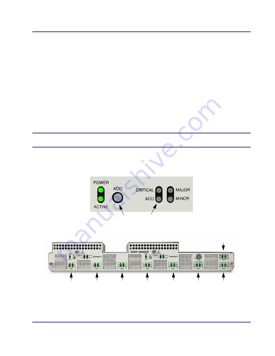 Carrier Access Access Navigator User Manual Download Page 335