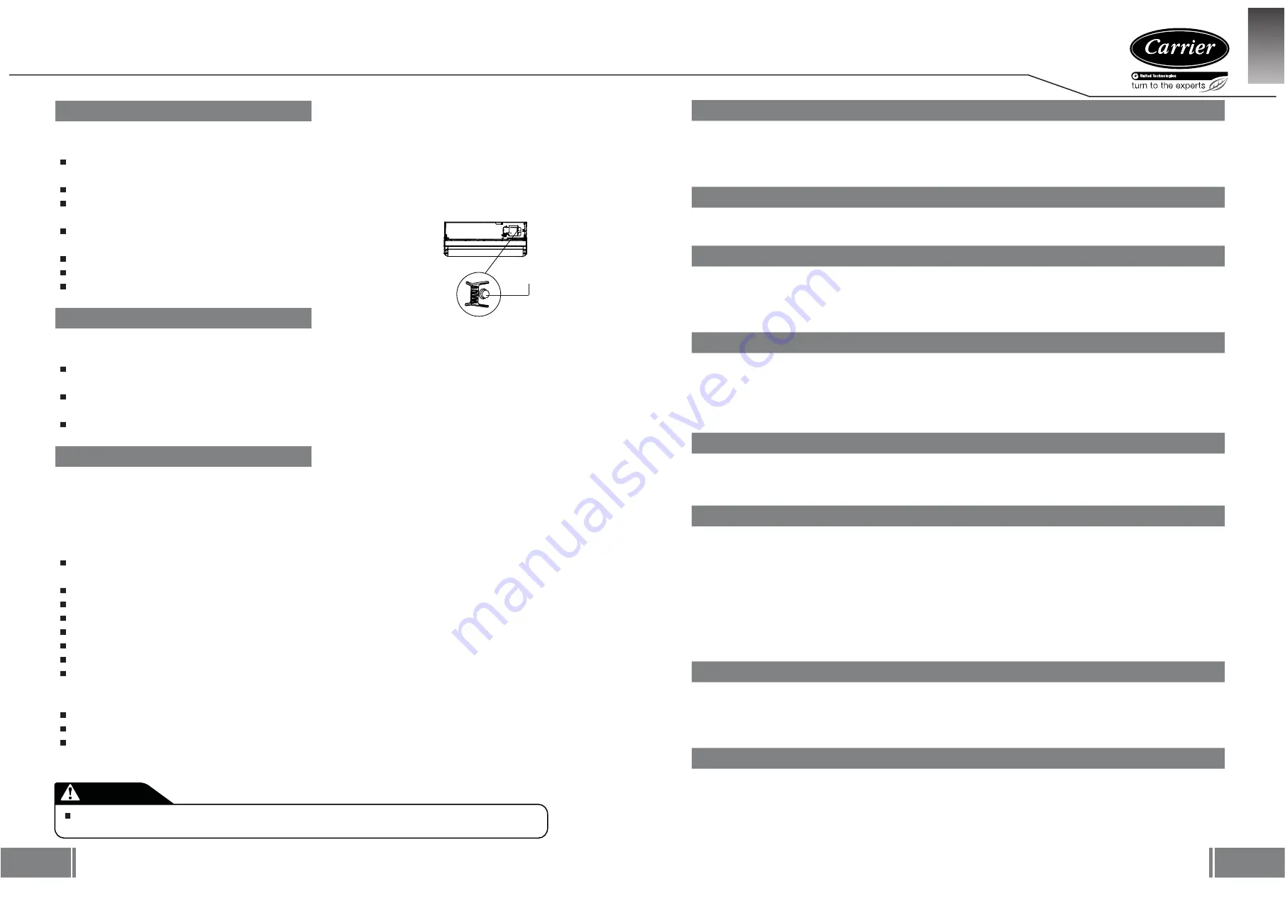 Carrier 38QHP009E8S Owner'S Manual Download Page 49