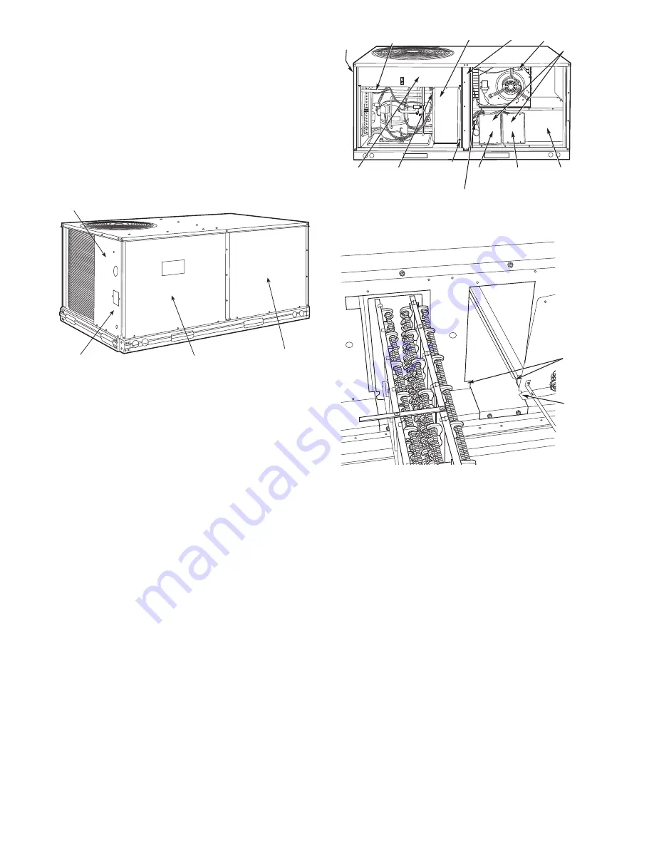 Carrier 50LC 07 Service And Maintenance Instructions Download Page 24