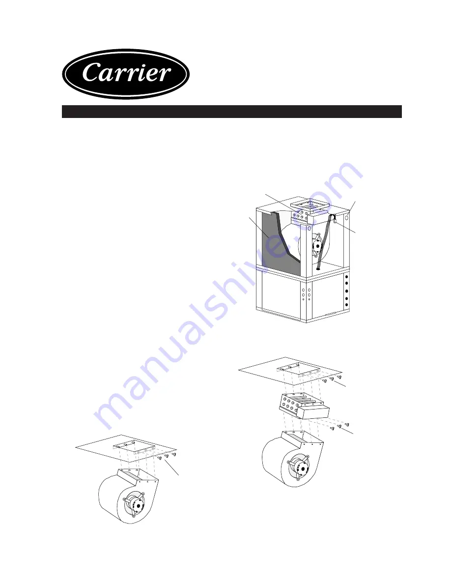 Carrier GT-G Series Скачать руководство пользователя страница 1