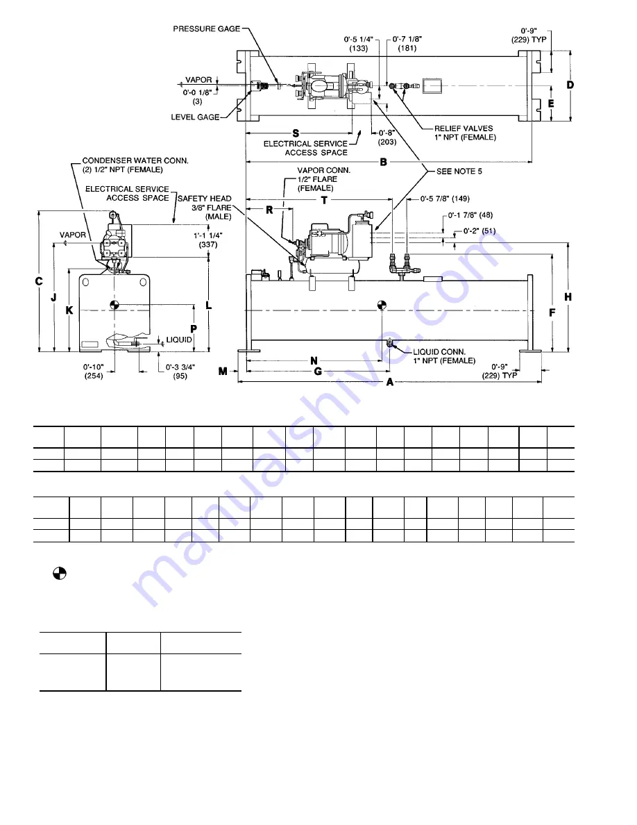 Carrier POSITIVE PRESSURE STORAGE SYSTEM 19XB Скачать руководство пользователя страница 8