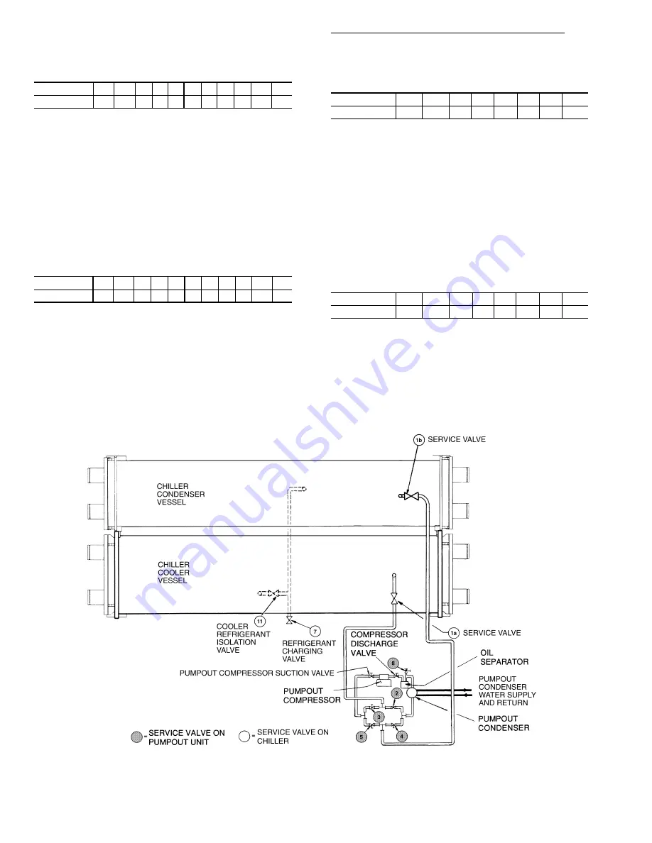 Carrier POSITIVE PRESSURE STORAGE SYSTEM 19XB Скачать руководство пользователя страница 14