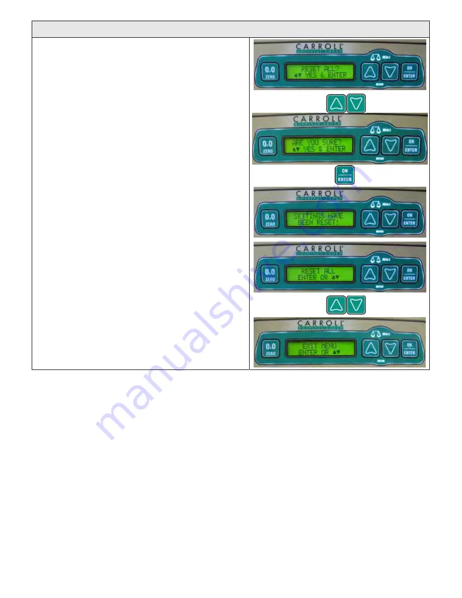 Carroll Spirit User Instruction Manual Download Page 71