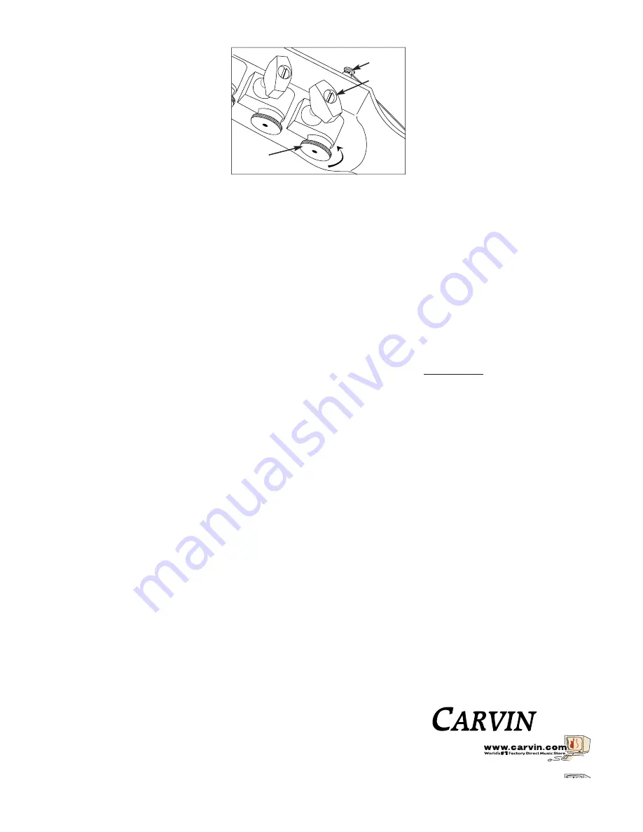 CARVIN GUITAR CARE Maintenance Download Page 1