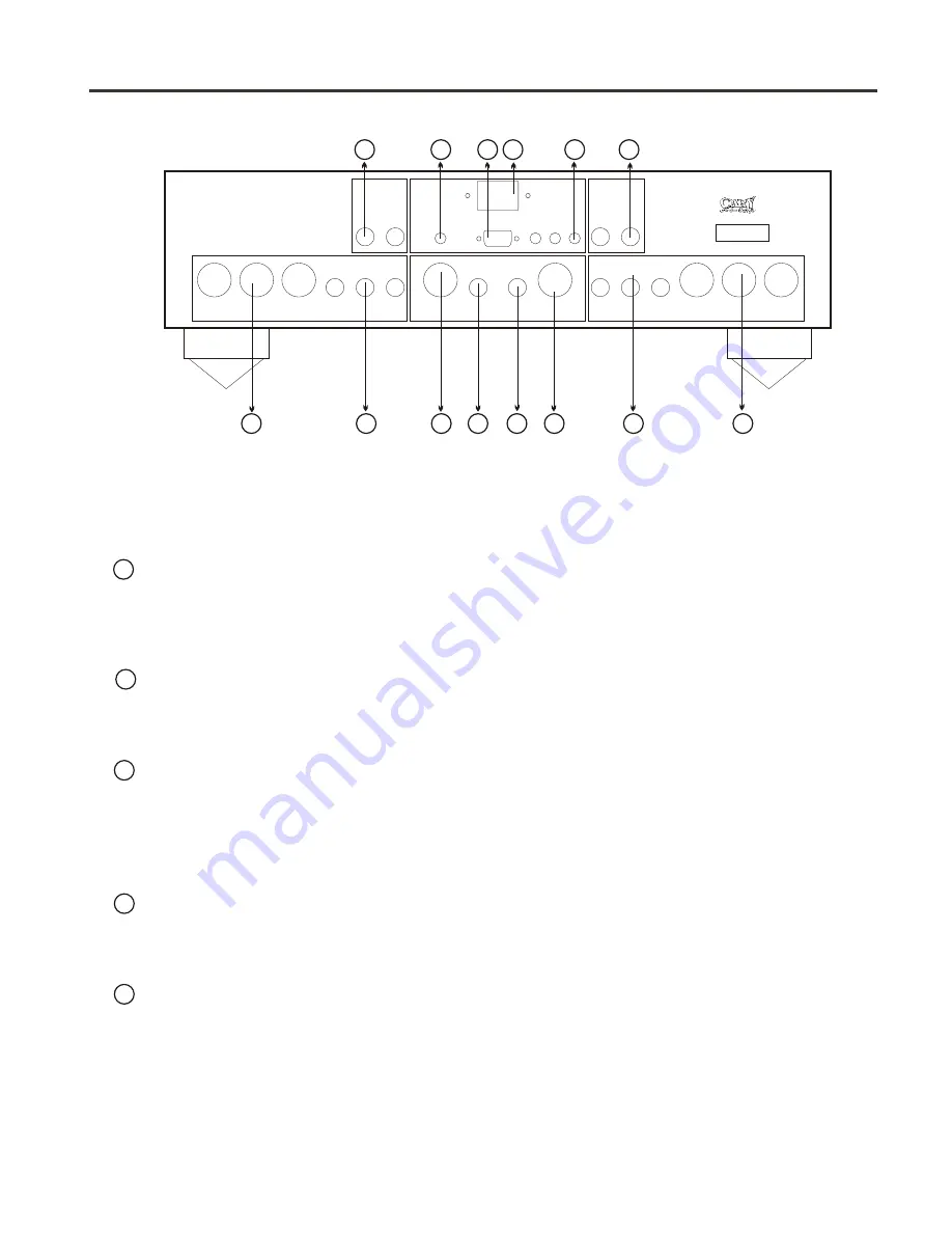 Cary Audio Design A 306 Скачать руководство пользователя страница 8