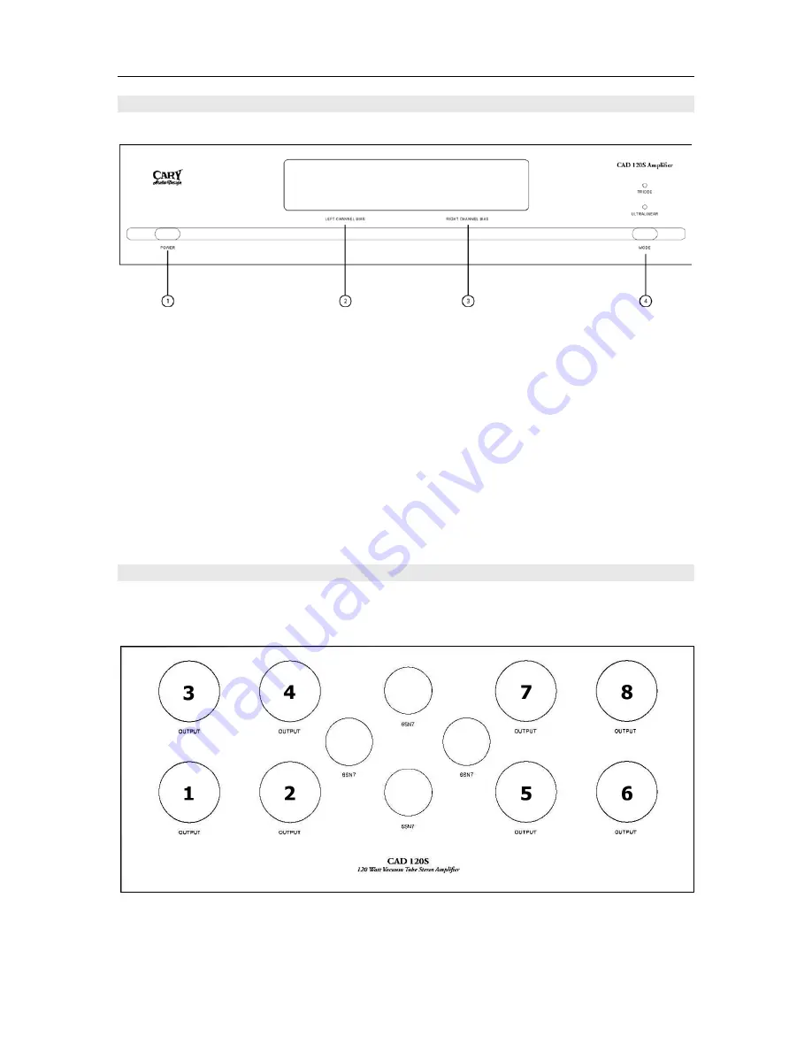 Cary Audio Design CAD 120S Owner'S Manual Download Page 10