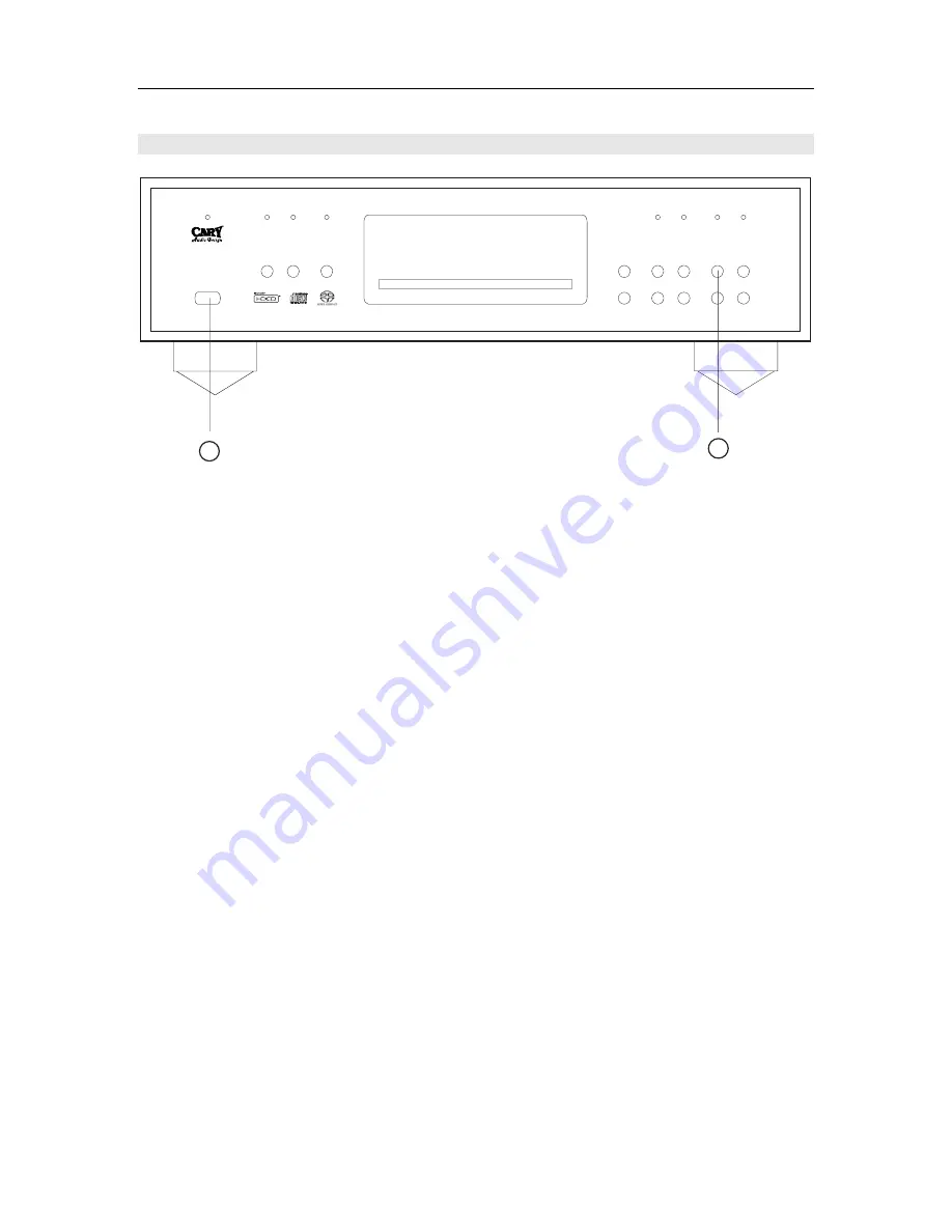 Cary Audio Design CD 303 T SACD Скачать руководство пользователя страница 20