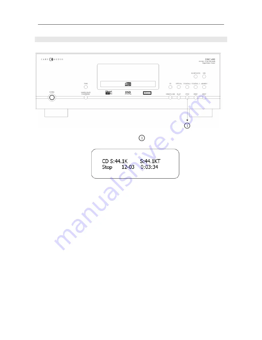 Cary Audio Design DMC--600 Скачать руководство пользователя страница 22