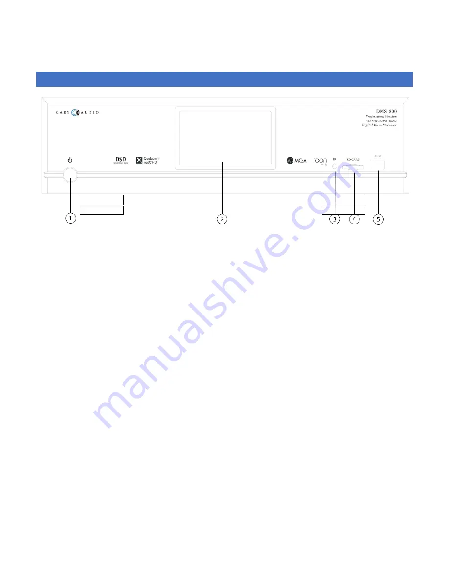 Cary Audio Design DMS-800PV Скачать руководство пользователя страница 17