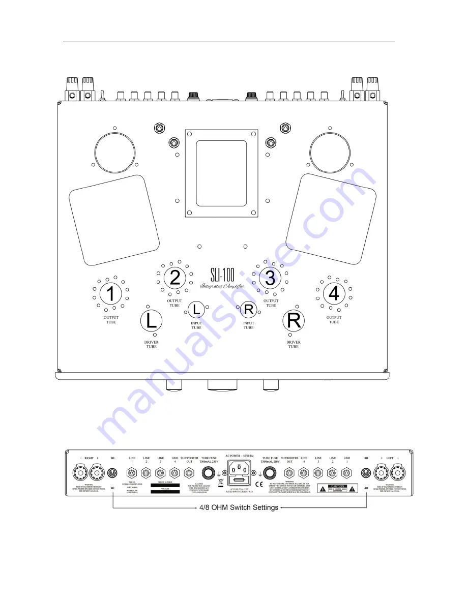 Cary Audio Design SLI-100 Скачать руководство пользователя страница 18