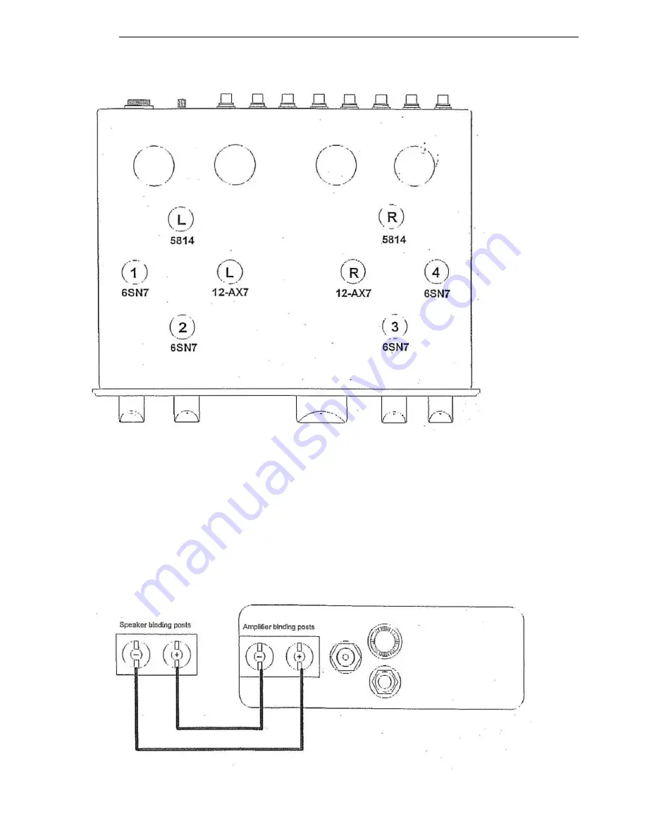 Cary Audio Design SLP-98 Скачать руководство пользователя страница 12