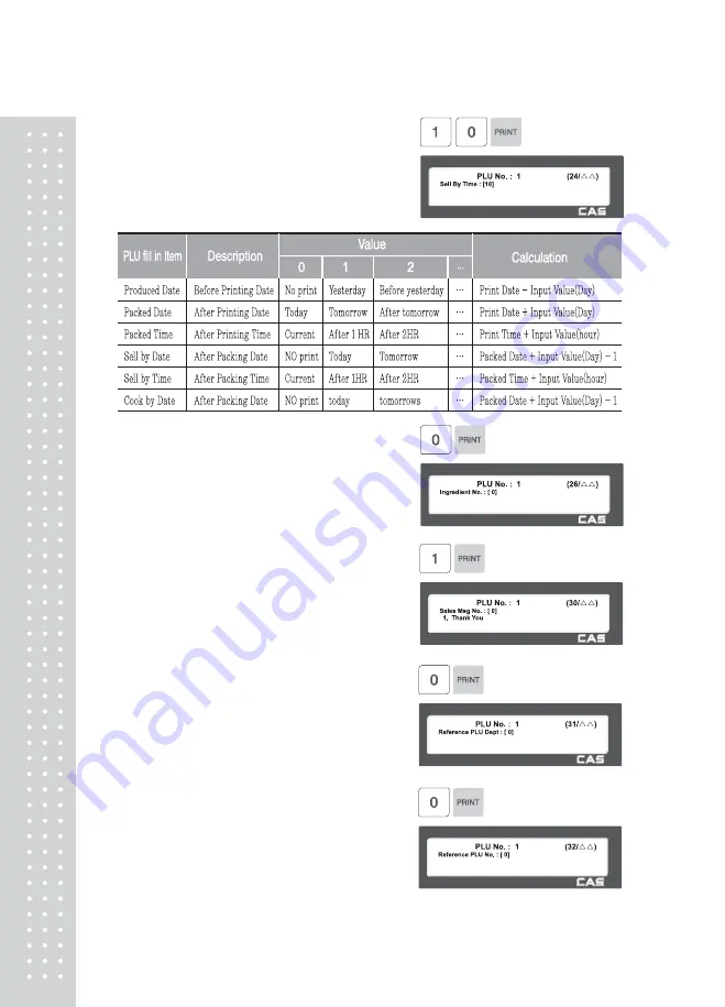 CAS CL5000 Series Owner'S Manual Download Page 49