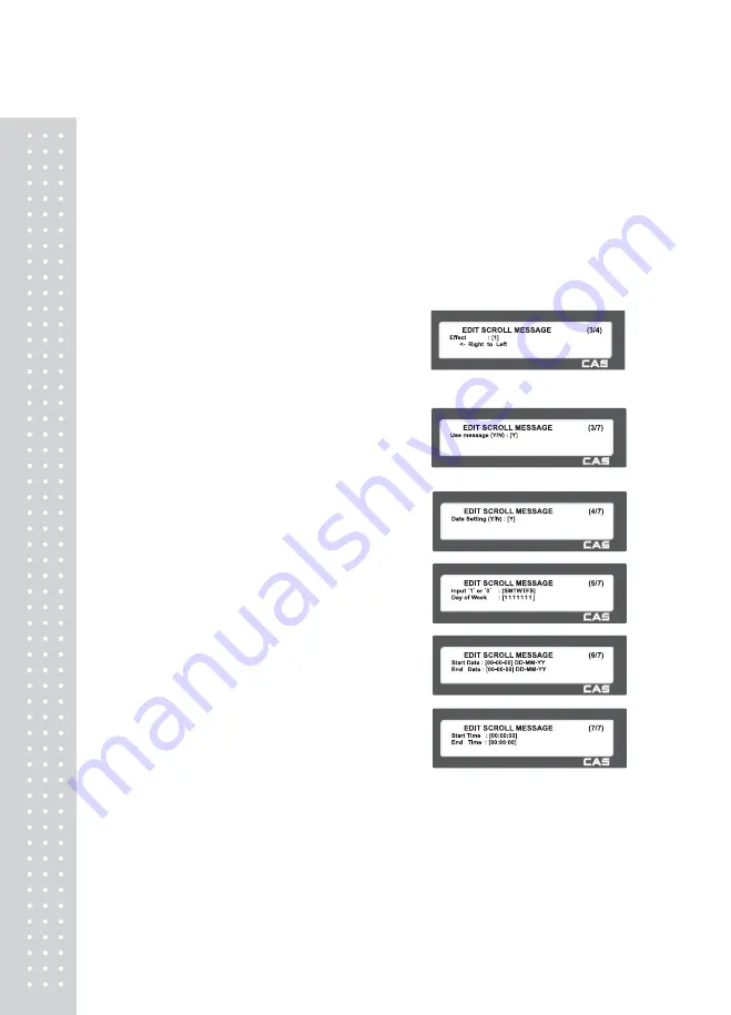 CAS CL5000 Series Owner'S Manual Download Page 105