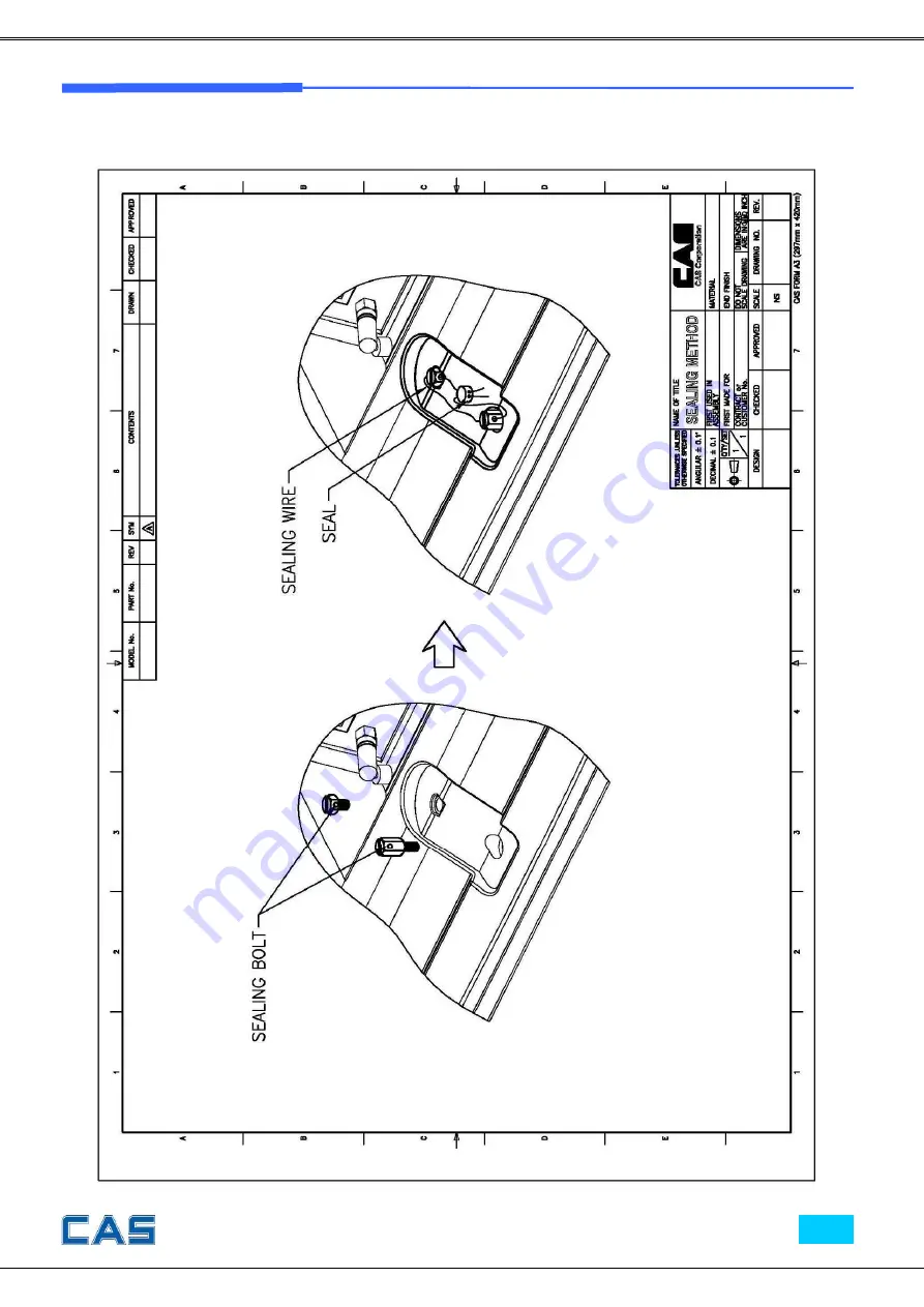 CAS CT100 Series Скачать руководство пользователя страница 8