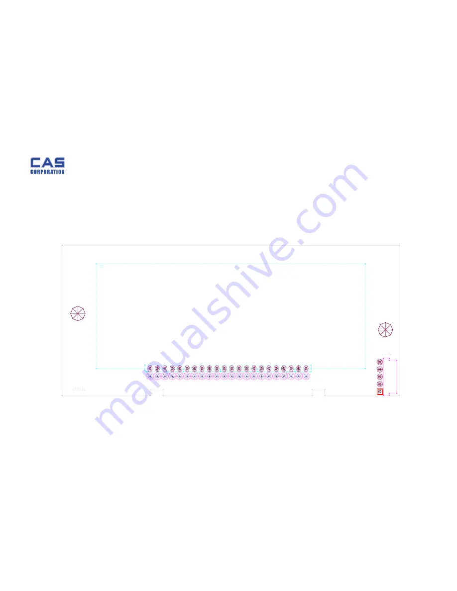 CAS PW-II Service Manual Download Page 18