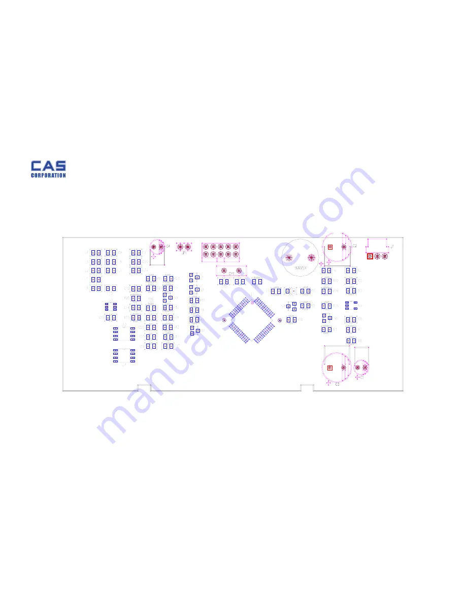 CAS PW-II Скачать руководство пользователя страница 19