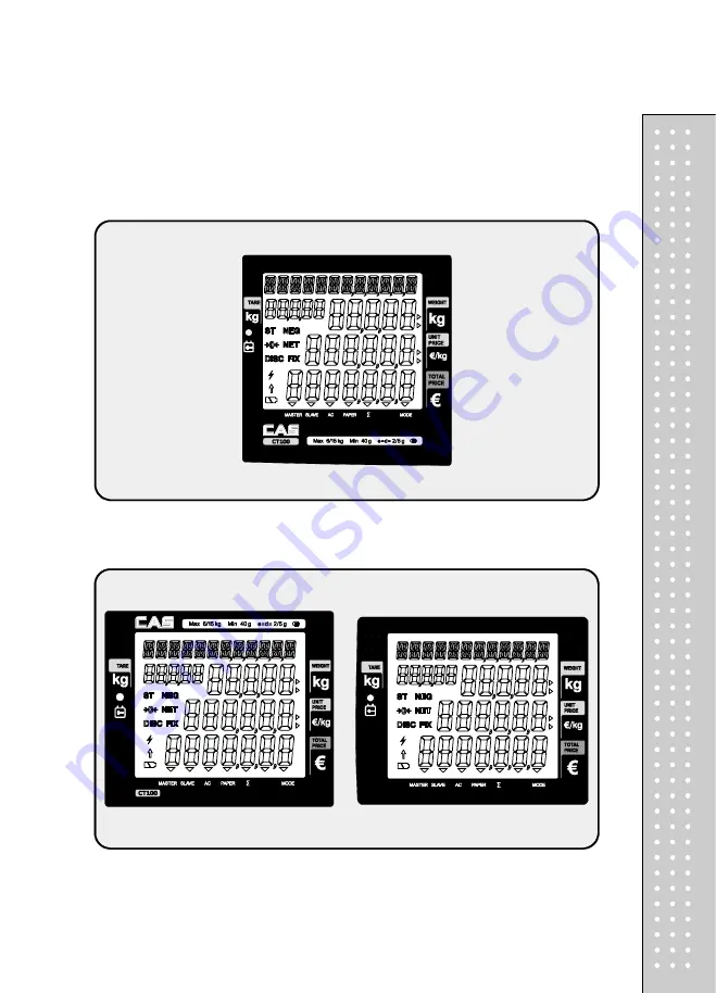 CAS RETAIL WEIGHING SOLUTION CT100 Owner'S Manual Download Page 10