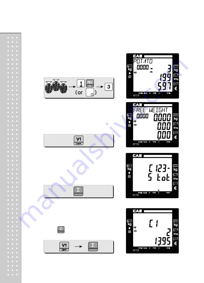 CAS RETAIL WEIGHING SOLUTION CT100 Скачать руководство пользователя страница 29