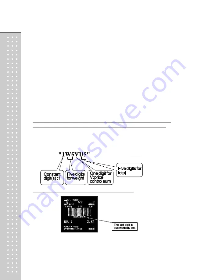 CAS RETAIL WEIGHING SOLUTION CT100 Owner'S Manual Download Page 71