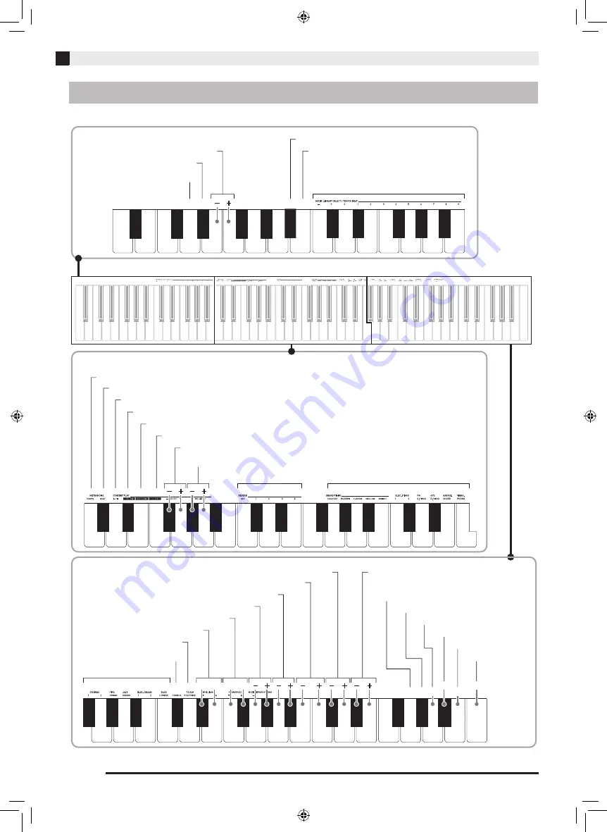 Casio Celviano AP-21 User Manual Download Page 29